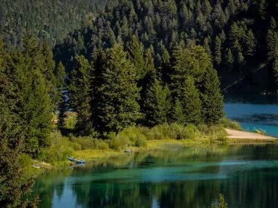 Mark Twain National Forest short-term rental market