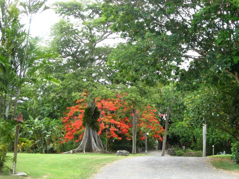 St Croix short-term rental market