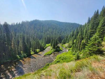 Saint Joe National Forrest short-term rental market