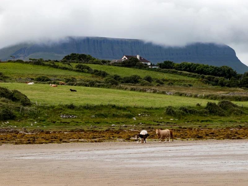Sligo County short-term rental market