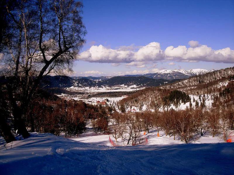 Bakuriani short-term rental market