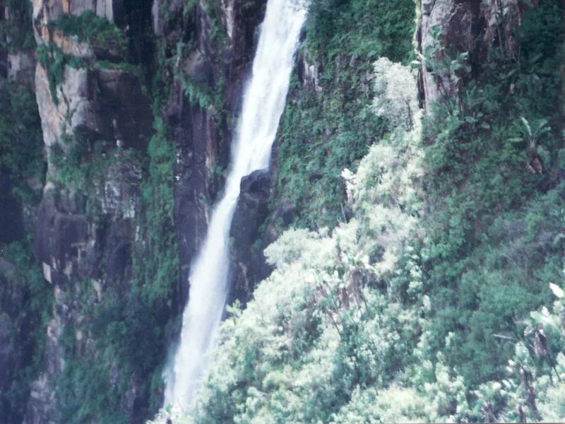 Nyanga short-term rental market