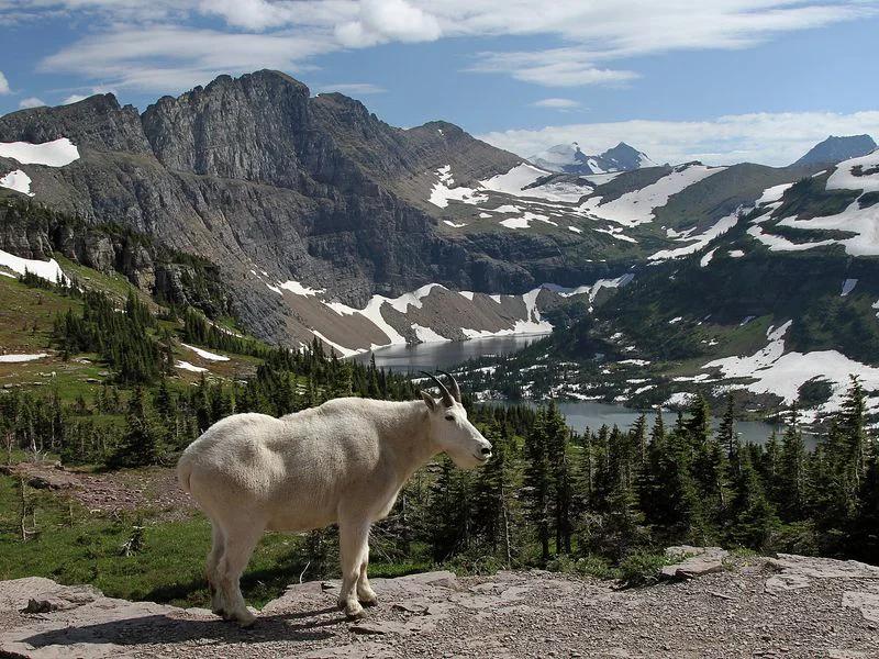 Glacier National Park short-term rental market