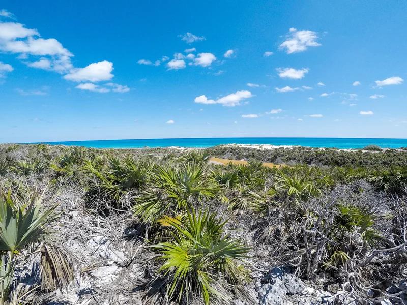 Exuma short-term rental market