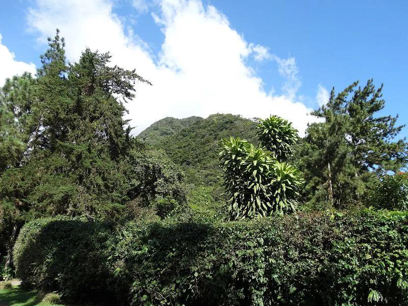 Coclé Province short-term rental market