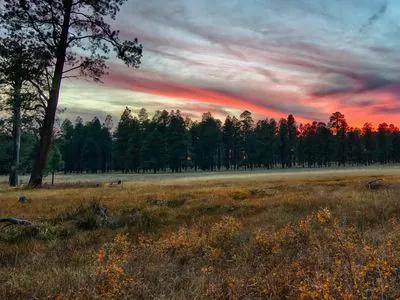 White Mountains short-term rental market
