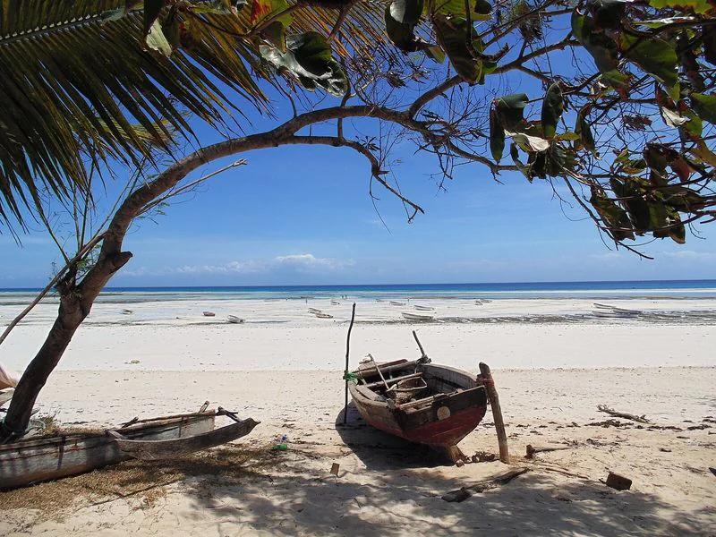 Unguja Kusini short-term rental market