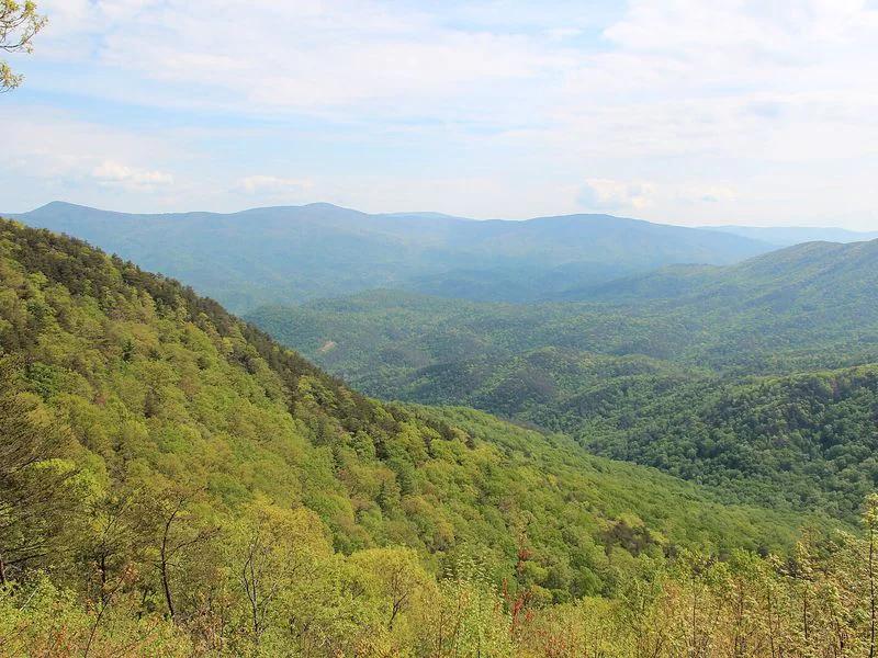 Chattahoochee-Oconee National Forest short-term rental market