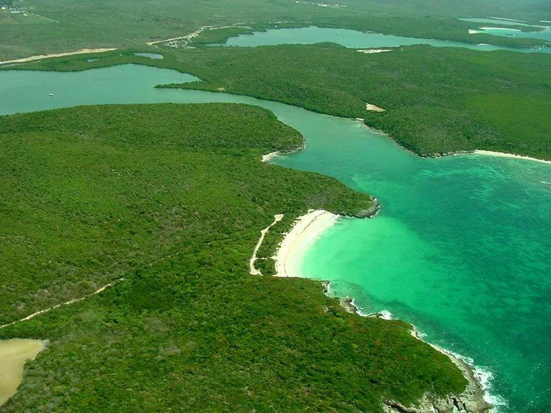 Vieques short-term rental market