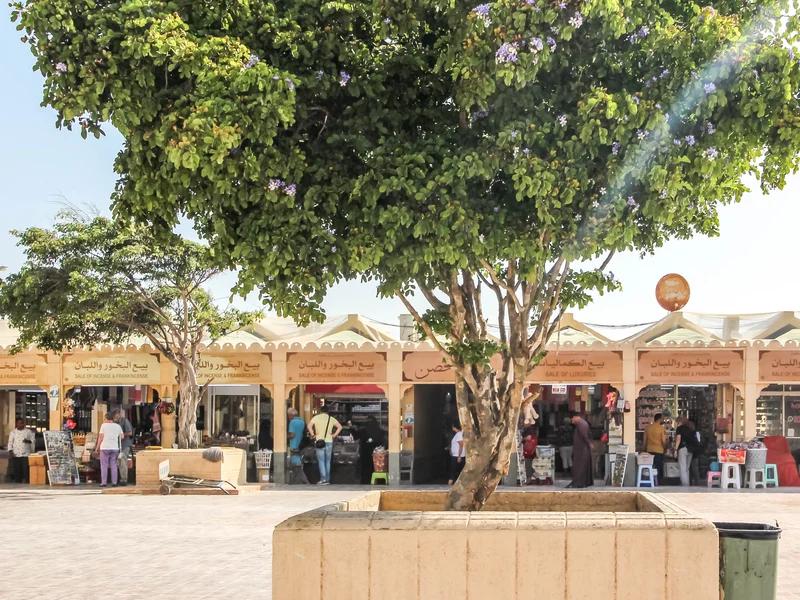 Salalah short-term rental market