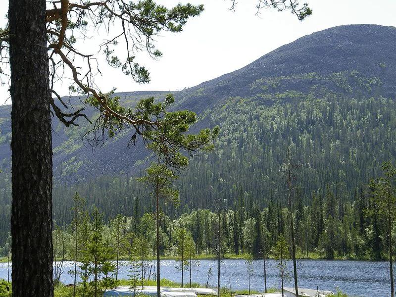 Kolari short-term rental market
