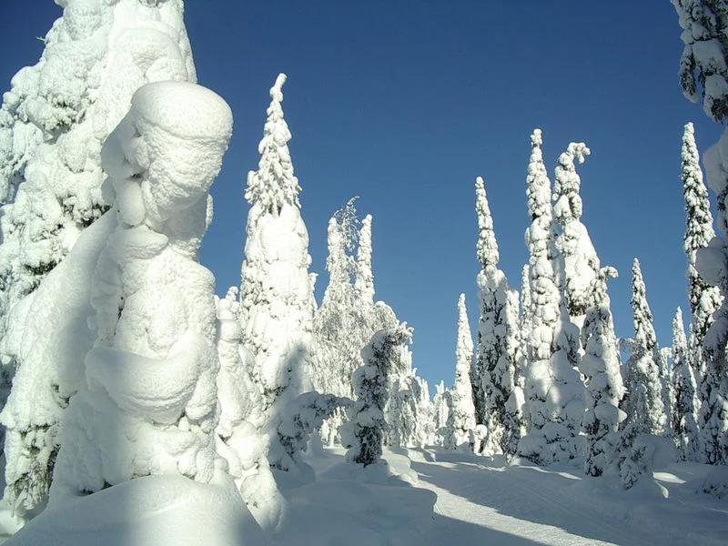 Kuusamo short-term rental market