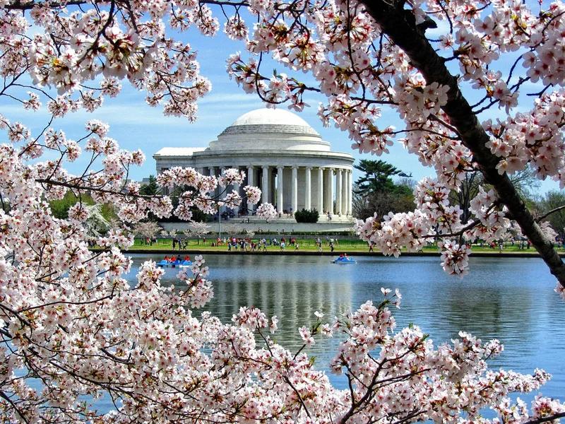 Washington DC short-term rental market