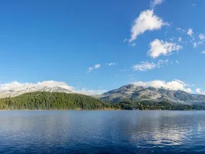 Whistler short-term rental market