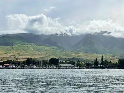 Maui short-term rental market
