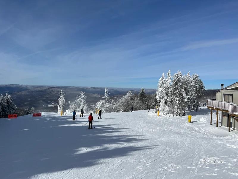 Snowshoe short-term rental market