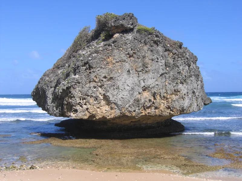 Barbados short-term rental market
