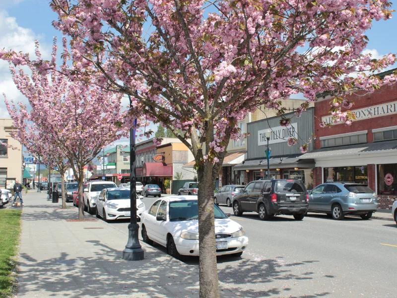 Arlington short-term rental market