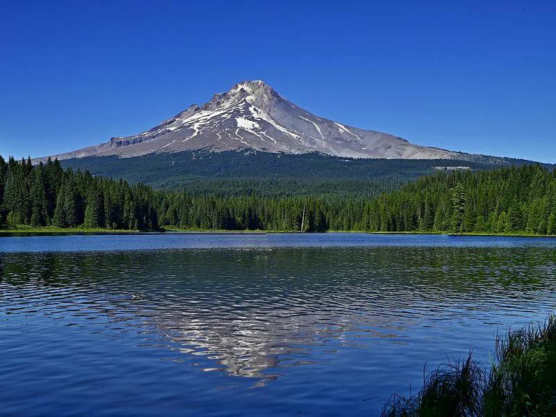Mount Hood short-term rental market
