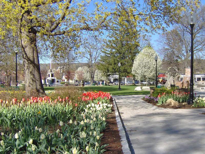 Litchfield County short-term rental market