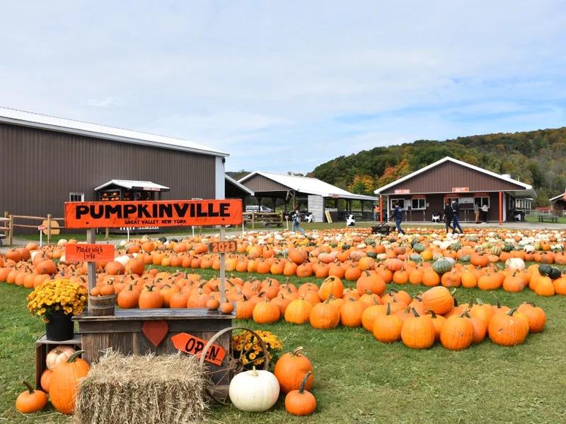 Great Valley short-term rental market