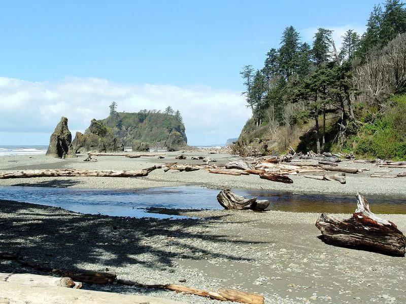 Olympic National Park short-term rental market