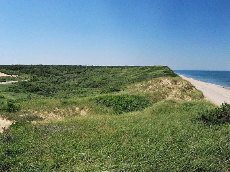 Cape Cod short-term rental market