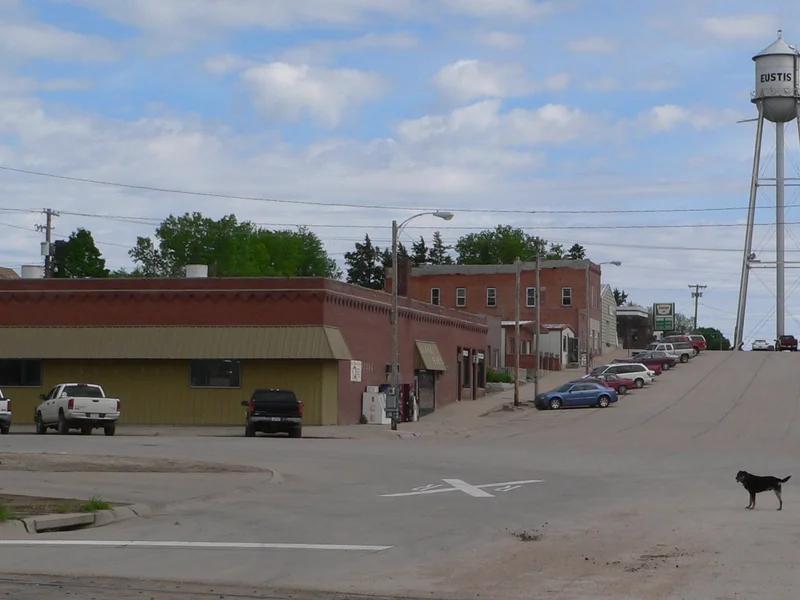 Eustis short-term rental market