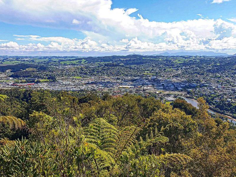 Whangārei short-term rental market