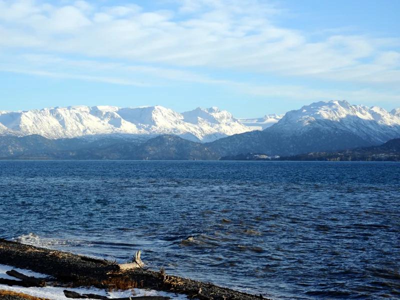 Homer short-term rental market