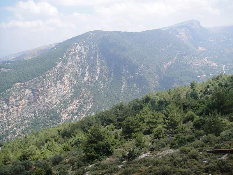 Mount Lebanon short-term rental market