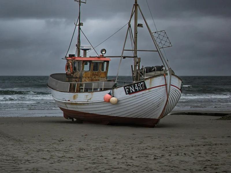 Skagen short-term rental market