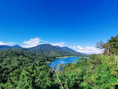 Bali (North) short-term rental market