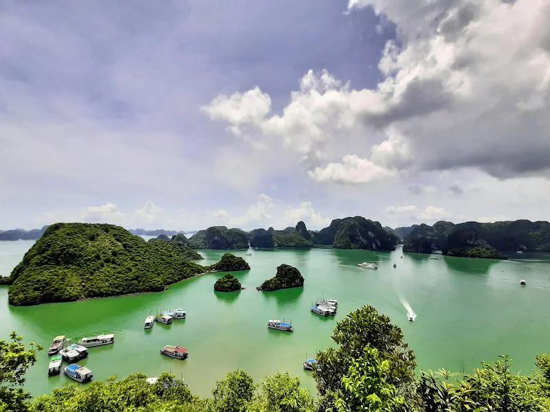 Hạ Long short-term rental market