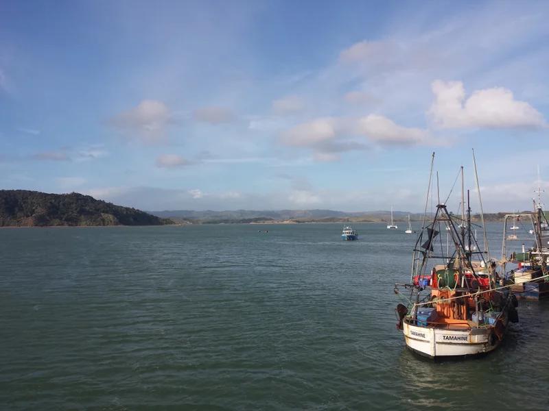 Raglan short-term rental market