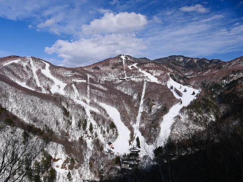 nagano short-term rental market