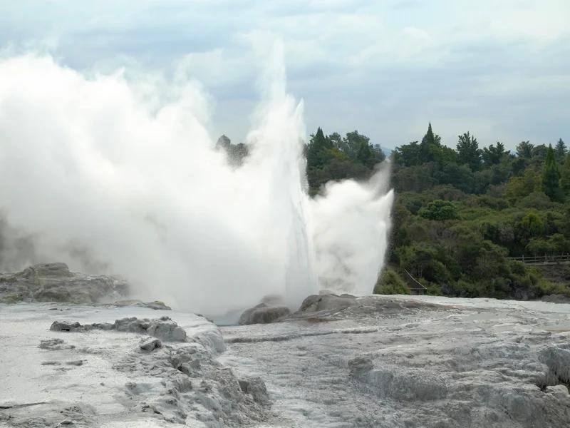 Rotorua short-term rental market