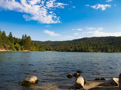 Crestline short-term rental market