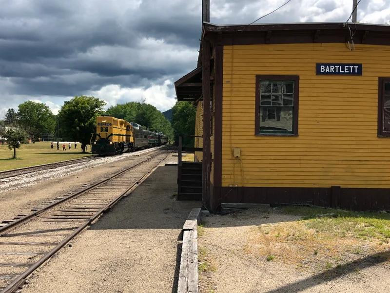Bartlett short-term rental market