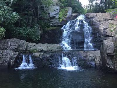 Albrightsville short-term rental market