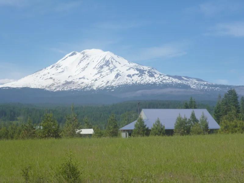 Trout Lake short-term rental market