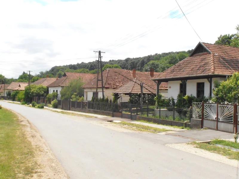 Irota short-term rental market