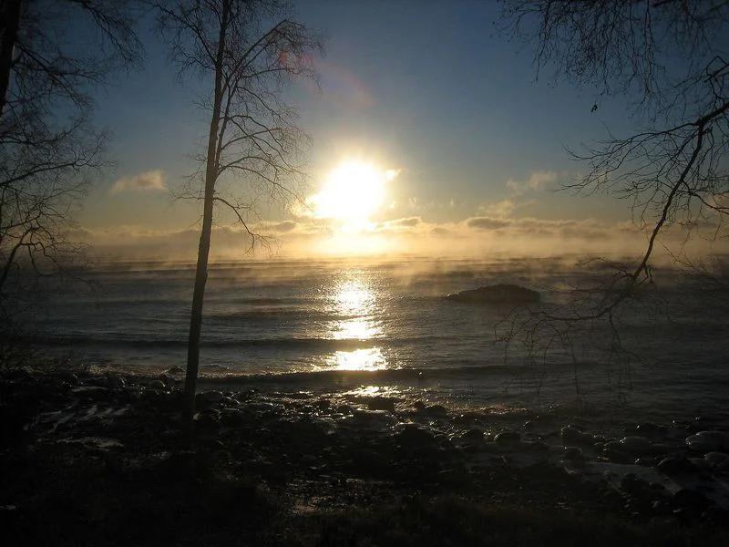Tofte short-term rental market