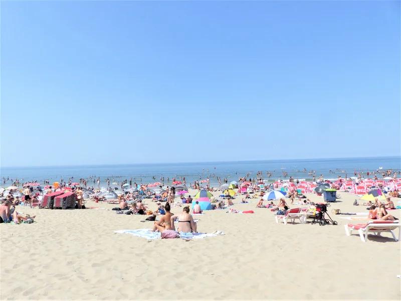 Zandvoort short-term rental market