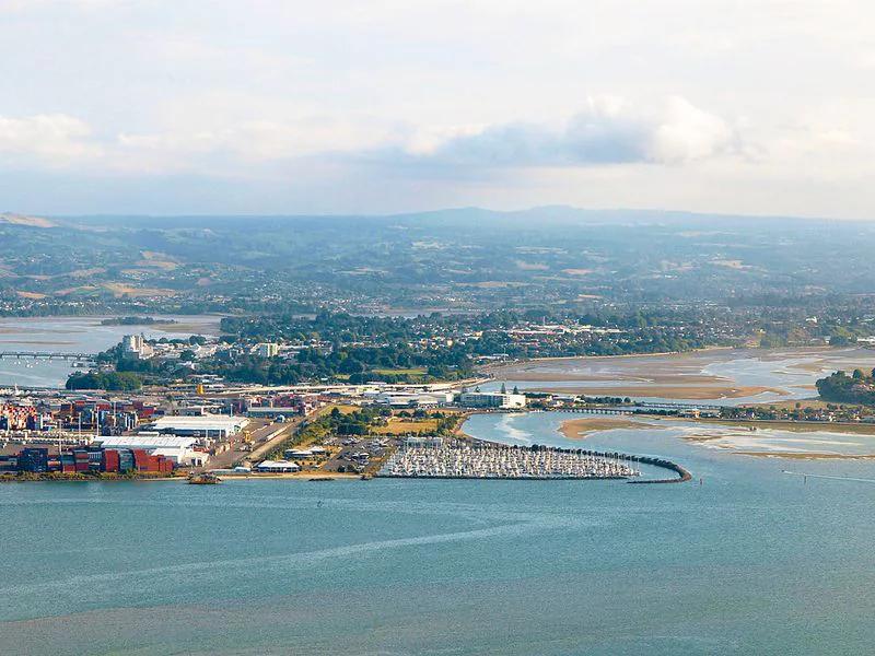 Tauranga short-term rental market