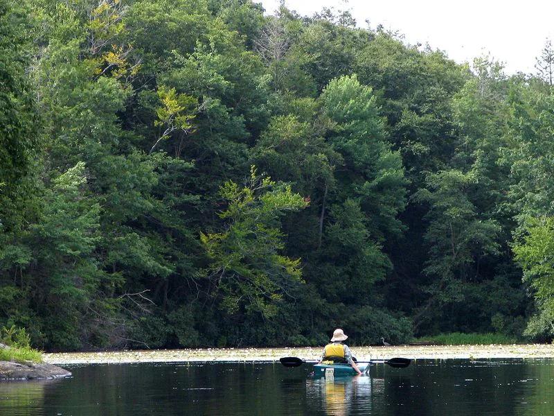 Wawayanda State Park short-term rental market